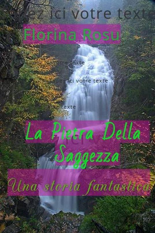 La Pietra della Saggezza - Florina Rosu - ebook