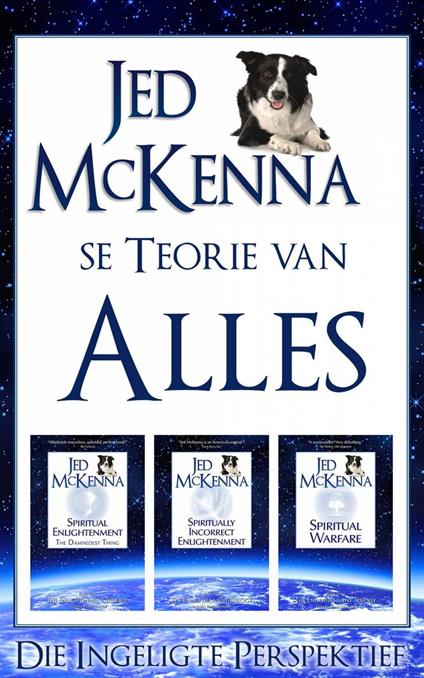 Jed McKenna se Teorie van Alles: Die Ingeligte Perspektief - Jed McKenna - ebook