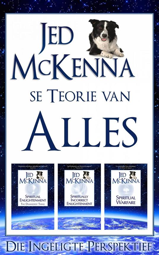 Jed McKenna se Teorie van Alles: Die Ingeligte Perspektief - Jed McKenna - ebook