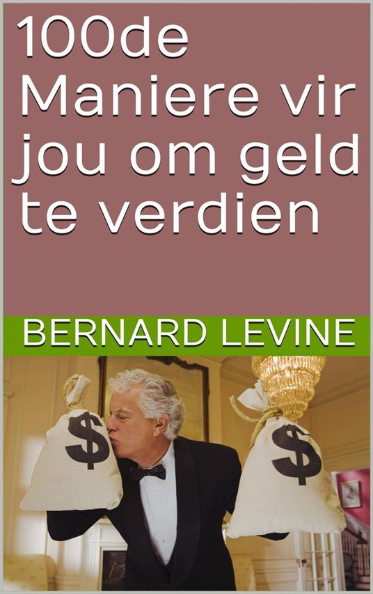 100de Maniere vir jou om geld te verdien - Bernard Levine - ebook