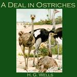 Deal in Ostriches, A