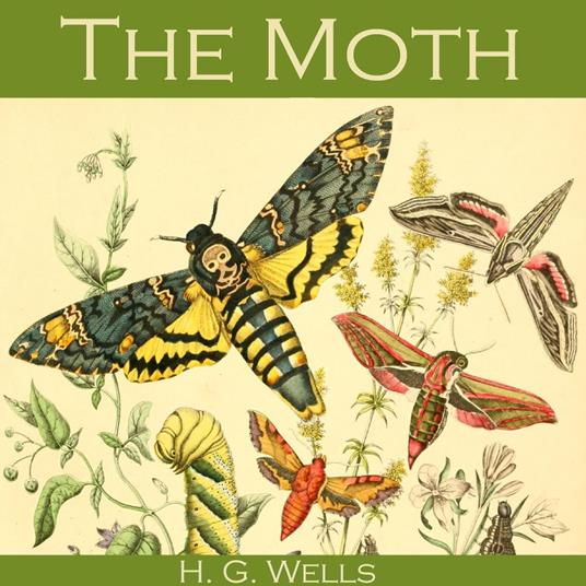 Moth, The