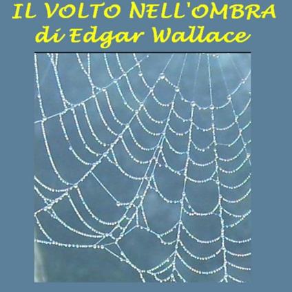 Volto nell'ombra, Il