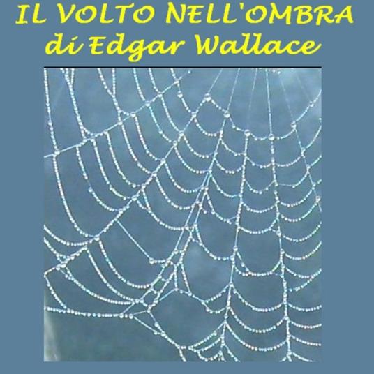 Volto nell'ombra, Il