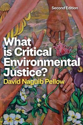 What is Critical Environmental Justice? - David Naguib Pellow - cover