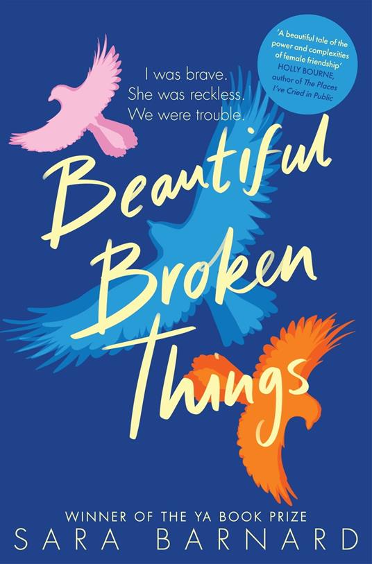 Beautiful Broken Things - Sara Barnard - ebook