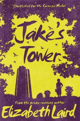 Jake's Tower - Elizabeth Laird - cover