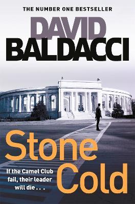 Stone Cold - David Baldacci - cover