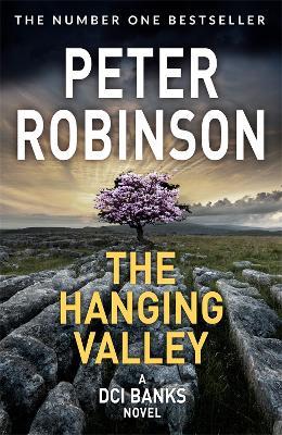 The Hanging Valley: Book 4 in the number one bestselling Inspector Banks series - Peter Robinson - cover