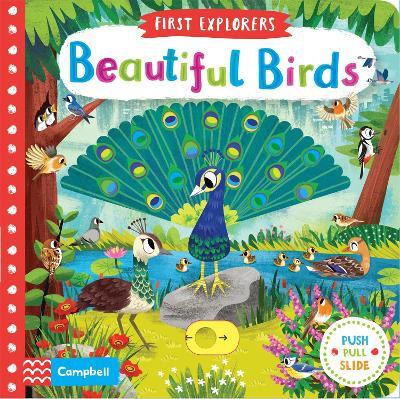 Beautiful Birds - Campbell Books - cover