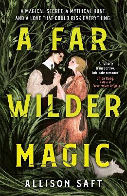 A Far Wilder Magic - Allison Saft - cover