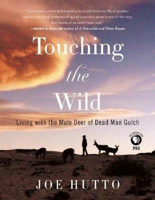 Touching the Wild: Living with the Mule Deer of Deadman Gulch - Joe Hutto - cover