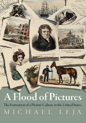 A Flood of Pictures: The Formation of a Picture Culture in the United States - Michael Leja - cover