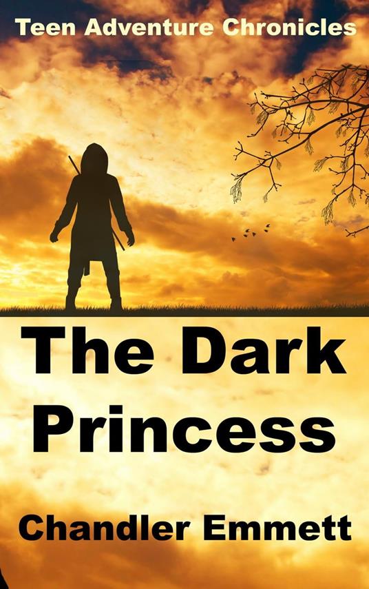 The Dark Princess - Chandler Emmett - ebook