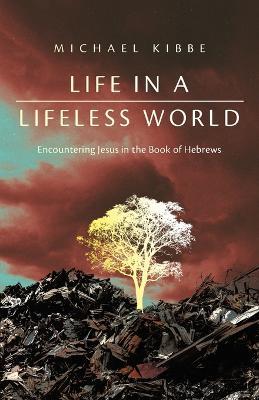 Life in a Lifeless World: Encountering Jesus in the Book of Hebrews - Michael Kibbe - cover