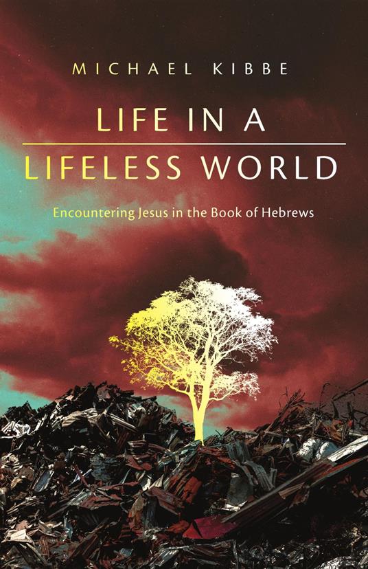 Life in a Lifeless World - Michael Kibbe - ebook