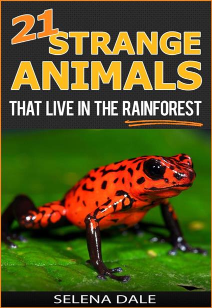 21 Strange Animals That Live In The Rainforest