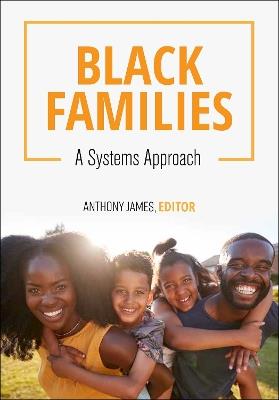 Black Families: A Systems Approach - cover