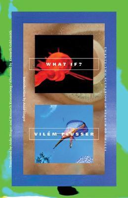 What If?: Twenty-Two Scenarios in Search of Images - Vilem Flusser - cover