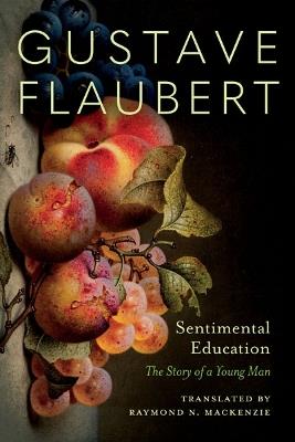 Sentimental Education: The Story of a Young Man - Gustave Flaubert - cover