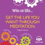 Win at Life: Get the Life you want through meditation