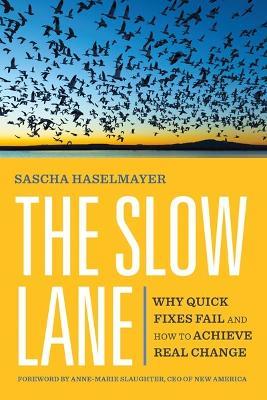 The Slow Lane: Why Quick Fixes Fail and How to Achieve Real Change - Sascha Haselmayer,Anne-Marie Slaughter - cover