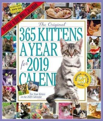 2019 365 Kittens a Year Picture-A-Day Wall Calendar - Workman Publishing - cover
