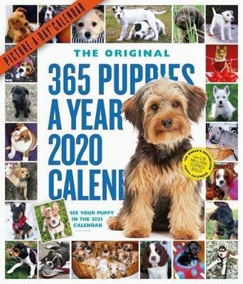 2020 365 Puppies-A-Year Picture-A-Day Calendar - Workman Calendars - cover