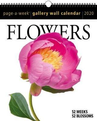 2020 Flowers Page-A-Week Gallery Wall Calendar - Workman Calendars - cover