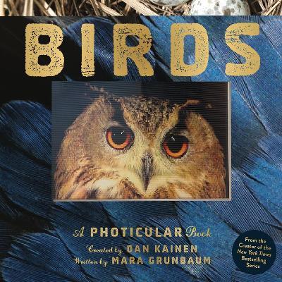 Birds: A Photicular Book - Dan Kainen,Mara Grunbaum - cover