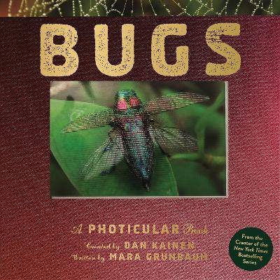 Bugs: A Photicular Book - Dan Kainen,Mara Grunbaum - cover