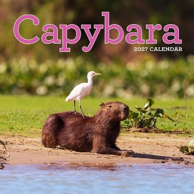 Capybara Wall Calendar 2027: A Happy, Capy Year - Workman Calendars - cover