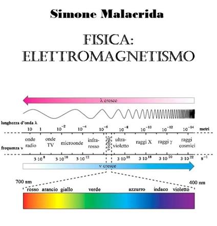 Fisica: elettromagnetismo - Simone Malacrida - ebook