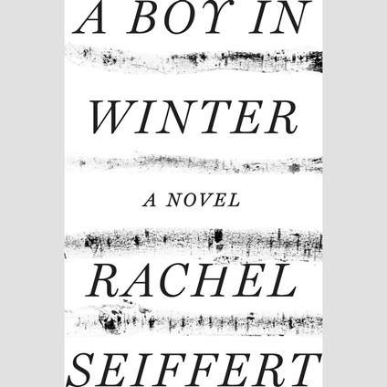 A Boy in Winter