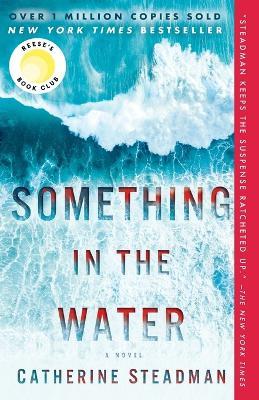 Something in the Water: A Novel - Catherine Steadman - cover