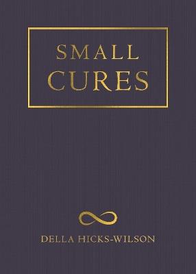 Small Cures - Della Hicks-Wilson - cover