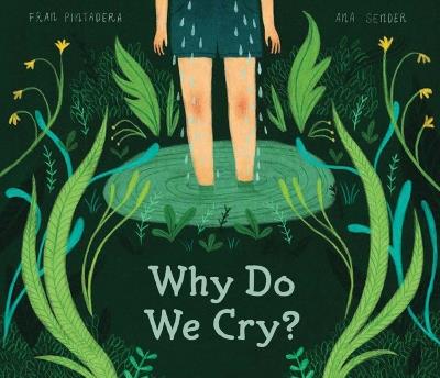 Why Do We Cry? - Fran Pintadera - cover