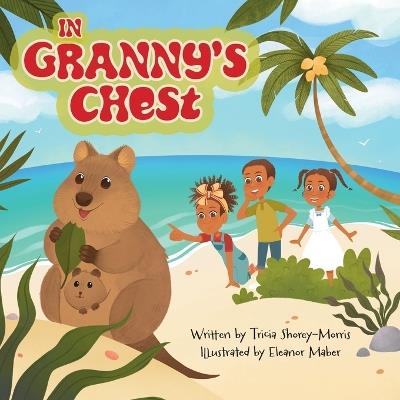 In Granny's Chest - Tricia Shorey-Morris - cover