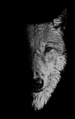 In the Company of Wolves: Werewolves, Wolves and Wild Children - cover