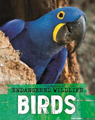 Endangered Wildlife: Rescuing Birds - Anita Ganeri - cover