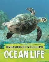 Endangered Wildlife: Rescuing Ocean Life - Anita Ganeri - cover