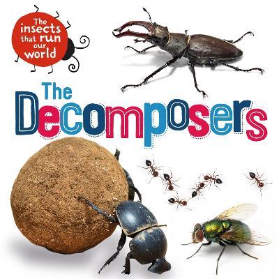 The Insects that Run Our World: The Decomposers - Sarah Ridley - cover