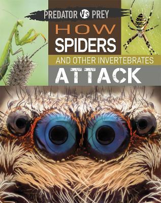 Predator vs Prey: How Spiders and other Invertebrates Attack - Tim Harris - cover