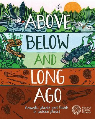 Above, Below and Long Ago: Animals, plants and fossils in unseen places - Michael Bright - cover