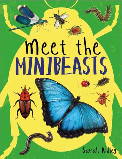 Meet the Minibeasts - Sarah Ridley - ebook