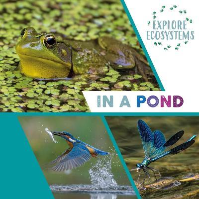Explore Ecosystems: In a Pond - Sarah Ridley - cover