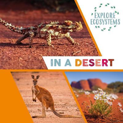 Explore Ecosystems: In a Desert - Sarah Ridley - cover