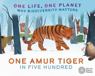 One Life, One Planet: One Amur Tiger in Five Hundred: Why Biodiversity Matters - Sarah Ridley - cover