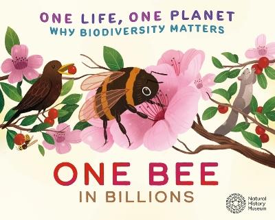 One Life, One Planet: One Bee in Billions: Why Biodiversity Matters - Sarah Ridley - cover