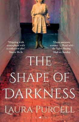 The Shape of Darkness: 'A future gothic classic' Martyn Waites - Laura Purcell - cover